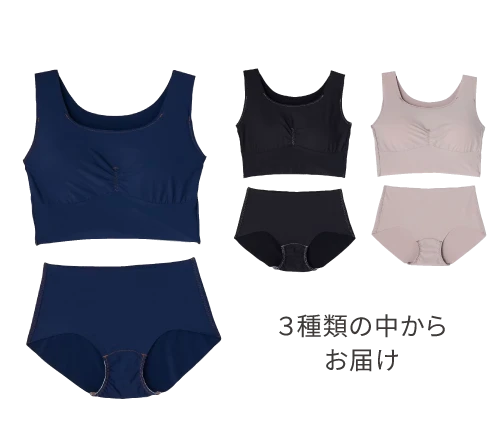 ３種類の中からお届け