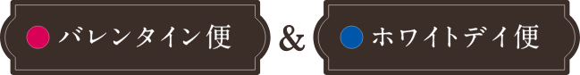 バレンタイン便＋ホワイトデイ便