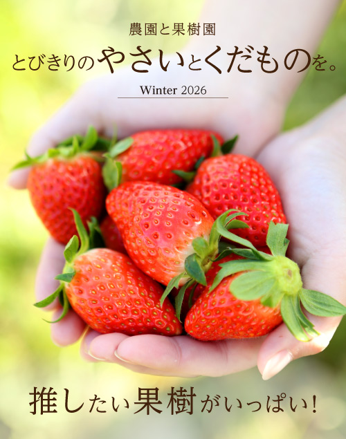 フルーツ＆野菜