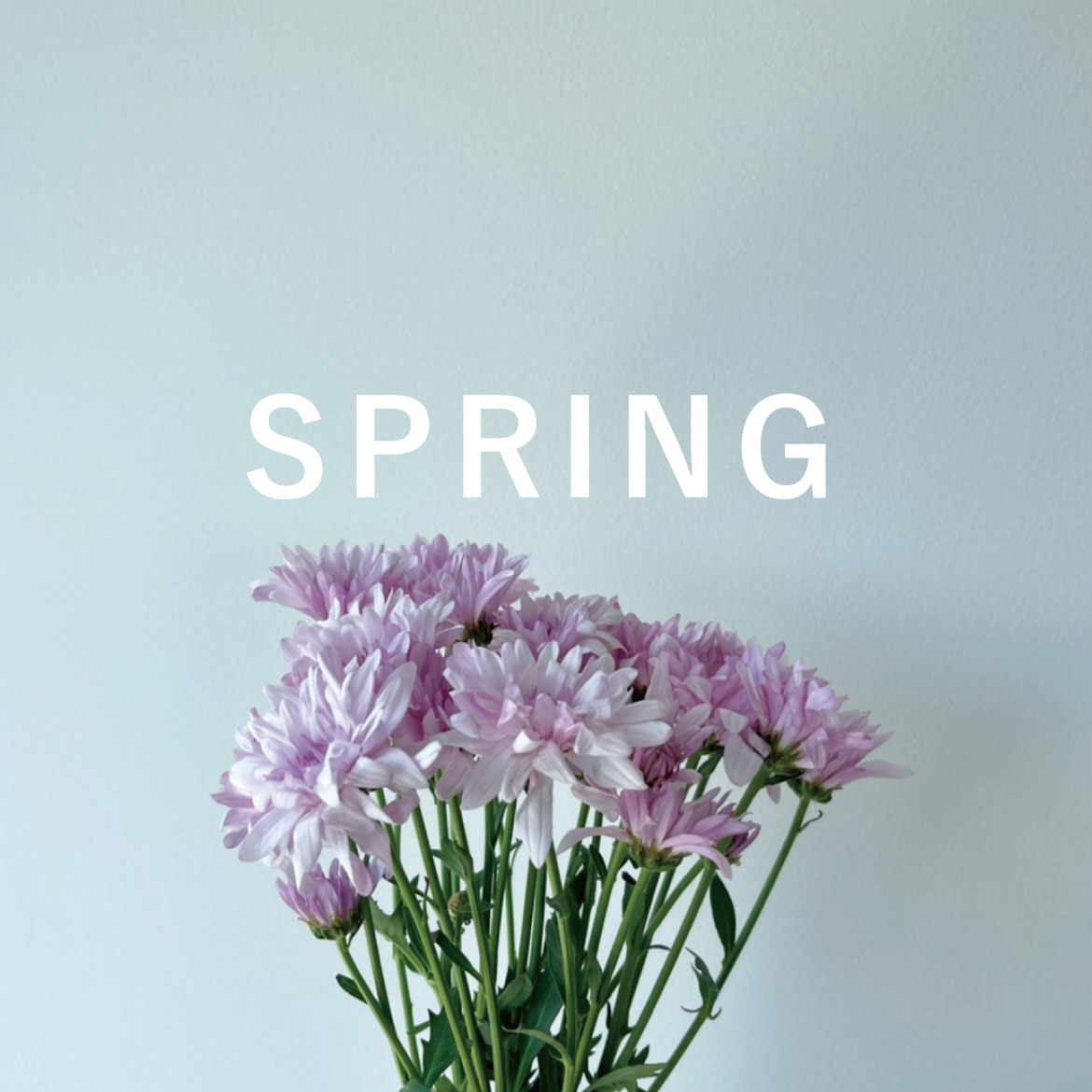 						
大人の手書き文字 spring1						
