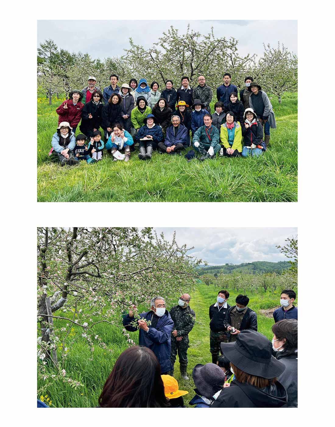 Hokkaido　木村秋則自然栽培農学校と木村秋則さんの指導活動支援