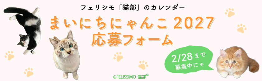 まいにちにゃんこ応募フォーム