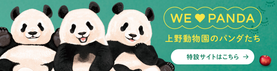 上野動物園パンダモチーフの商品一覧はこちら