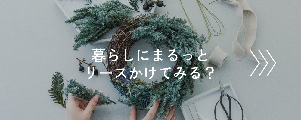 シーモノのおすすめリース