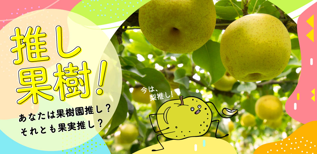 推し果樹