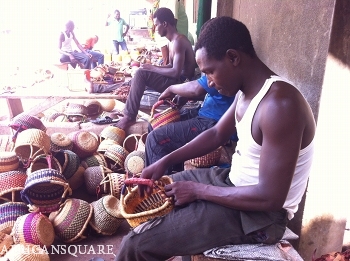 エレファントグラス