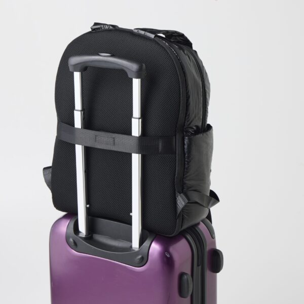 キャリーケースに掛けられる