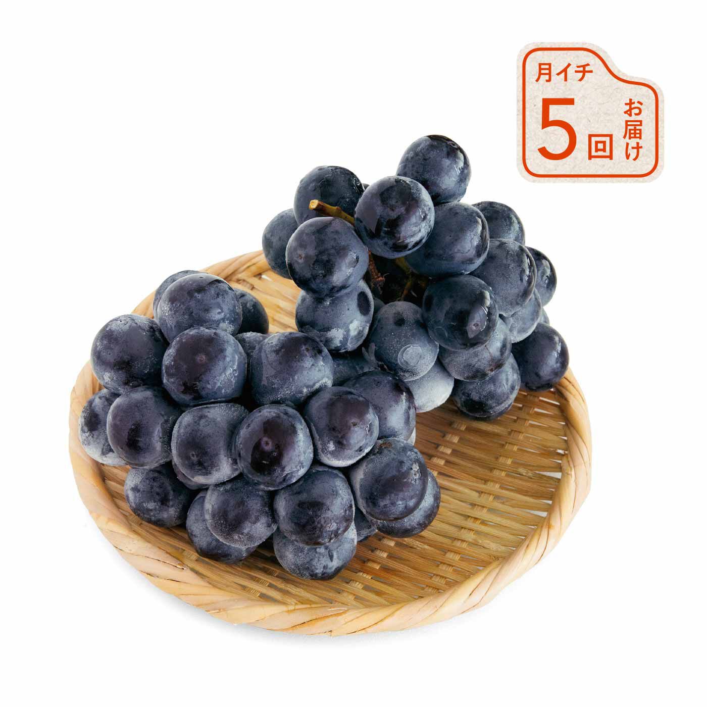 粒ぞろいの口福大粒ぶどう〈秀品〉