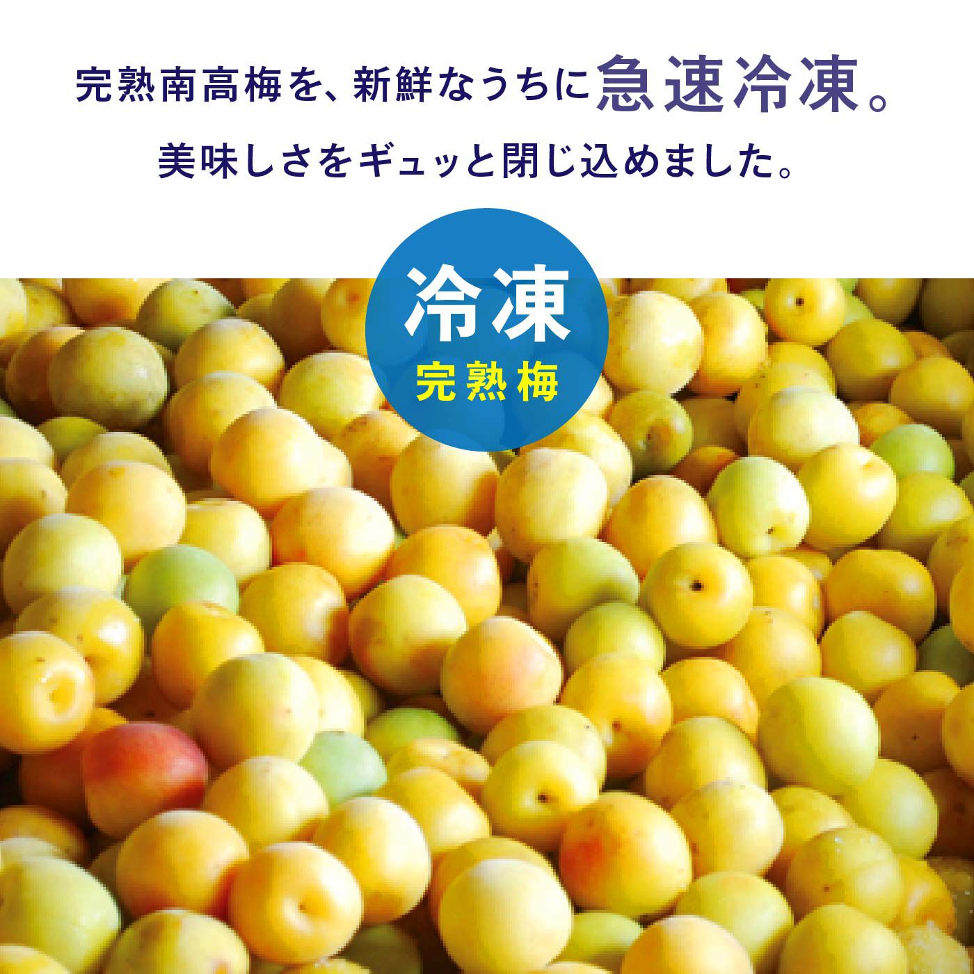 旬を閉じ込めた冷凍南高梅