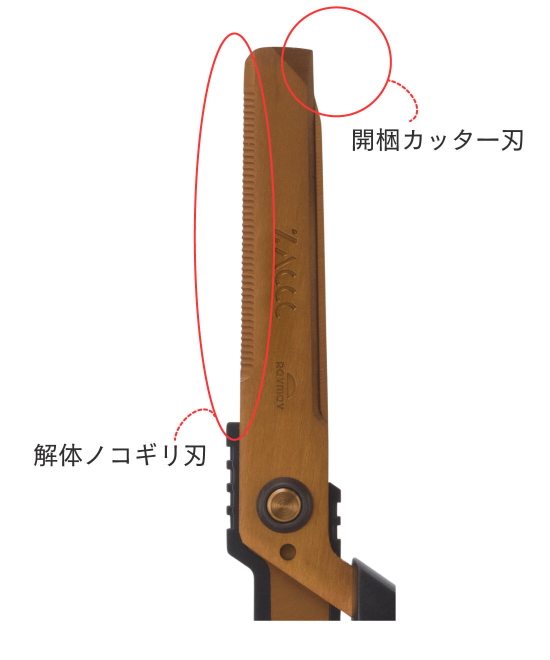 ダンボールもザクザク切れるはさみＺＡＣＣＣ