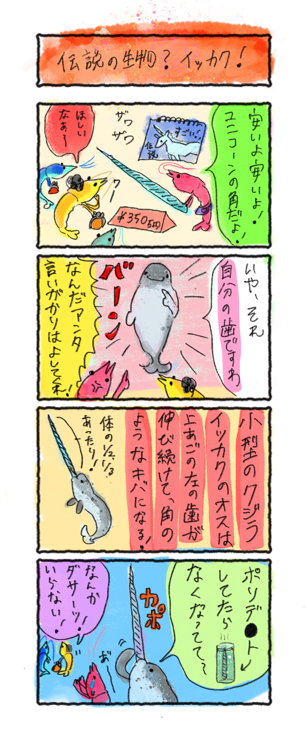 伝説の生物 イッカク 海とかもめ部