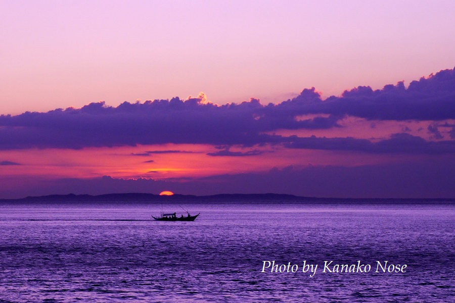 海には夕焼けがよく似合う 海とかもめ部