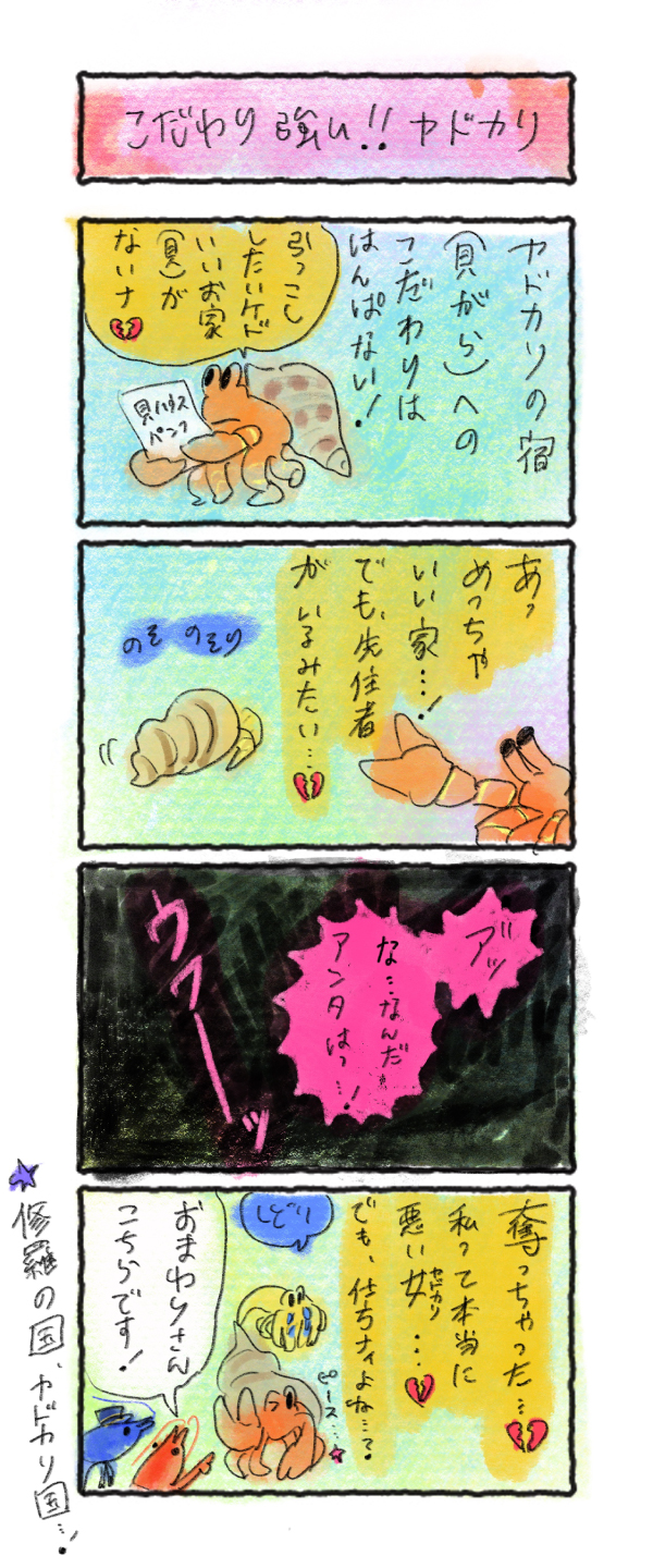 こだわり強い ヤドカリ 海とかもめ部