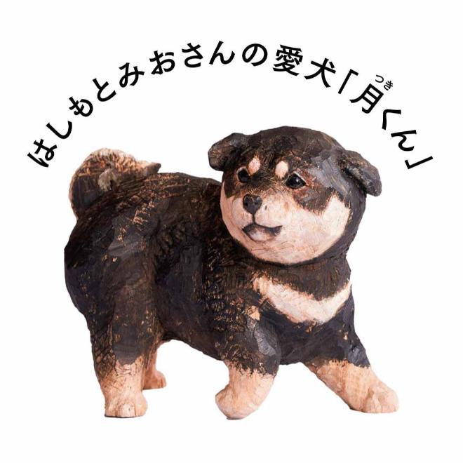 シトラス　はしもとみおさん　月と柴犬 はしもとみおさんと作った 子どもの月くんのオーガニックコット