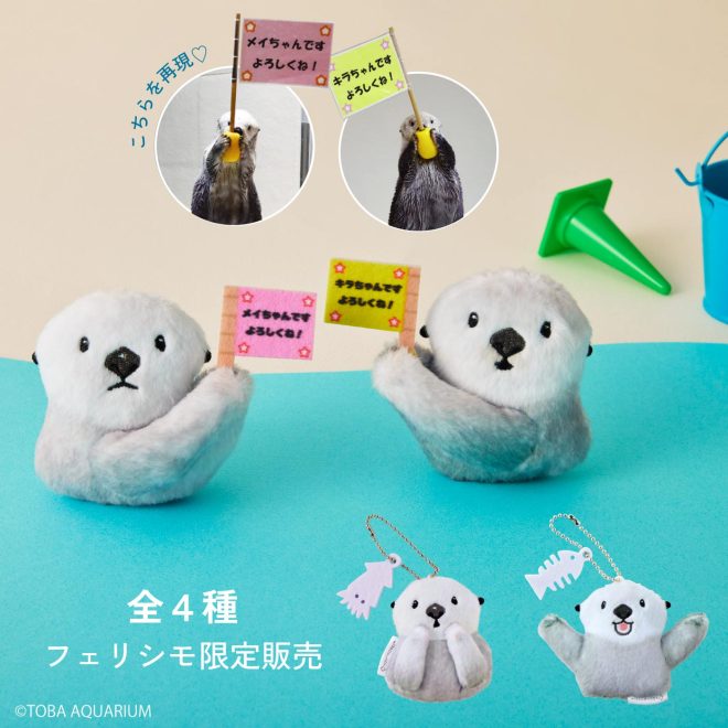 激レア！！⭐️鳥羽水族館⭐️70周年⭐️キラとメイ⭐️メイキラ⭐️メイちゃん　キラちゃん 鳥羽水族館70周年のポスターのメイちゃんキラちゃんが
