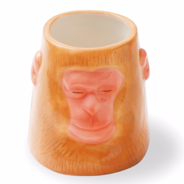 onsencup_saru_front.jpg