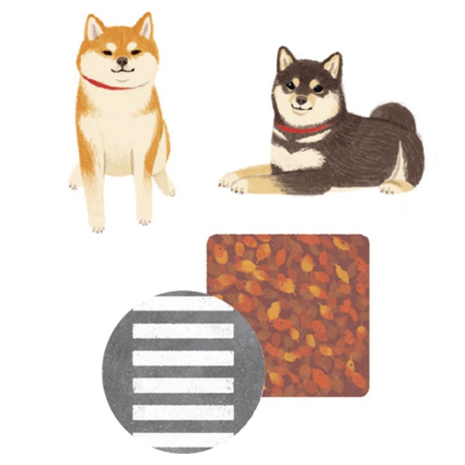 shibainucha_aki.jpg