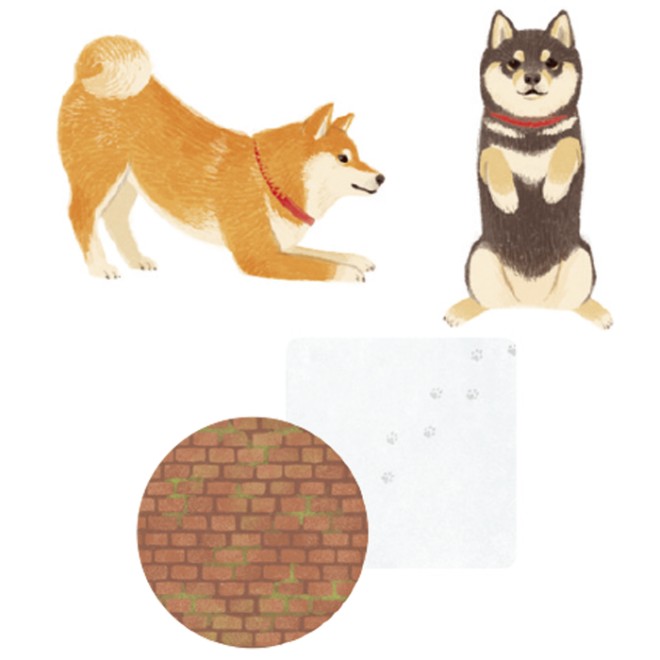 shibainucha_fuyu.jpg