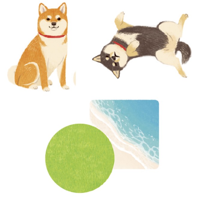 shibainucha_natu.jpg