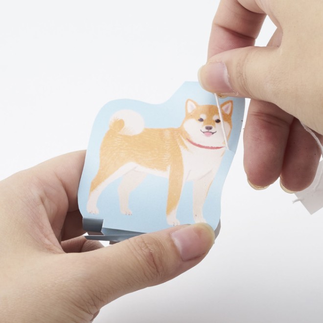 shibainucha_sethouhou.jpg