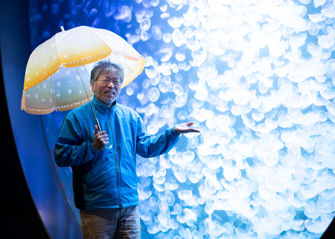 加茂水族館コラボ 雨空を泳ぐクラゲの傘│YOU+MORE！│フェリシモ