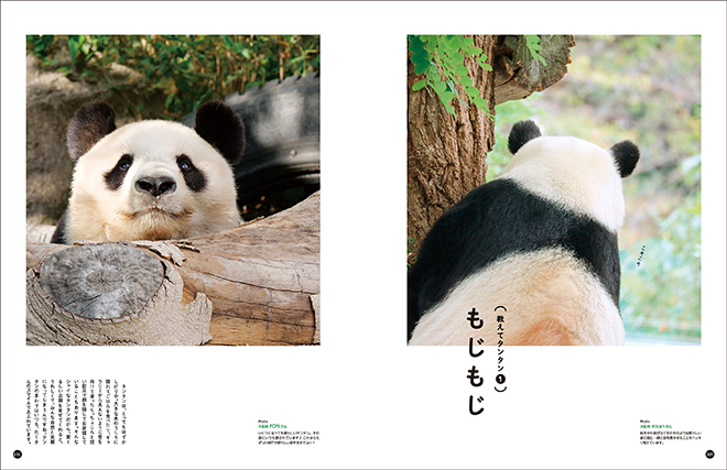 写真集『神戸市立王子動物園のシャイなパンダ タンタン』本日発