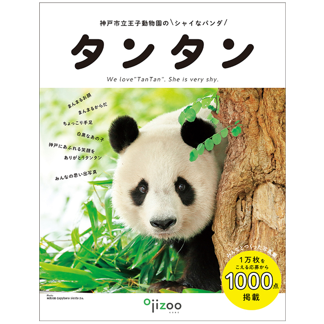 Amazon.co.jp: ありがとうタンタン ポストカード神戸市立王子