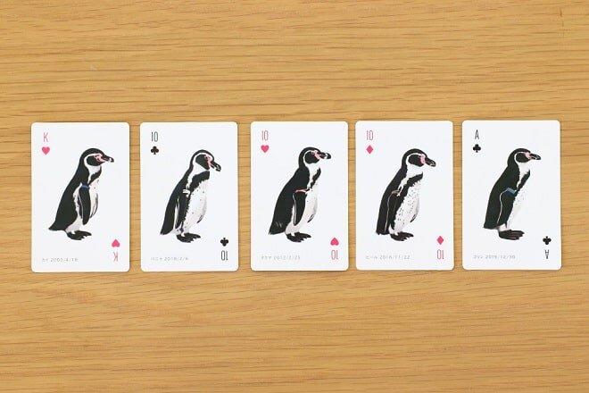 penguincard_2-min.jpg