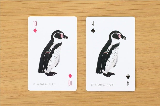 penguincard_3-min.jpg