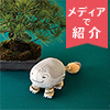 太田記念美術館×フェリシモミュージアム部　絵師のユーモアが生んだ珍獣 虎子石（とらこいし）もっちりポーチ